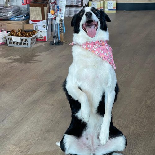 WhatsApp Image 2025-12-26 at 13.40.21