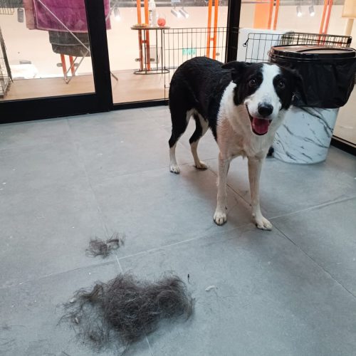 WhatsApp Image 2025-12-26 at 13.40.22 (1)