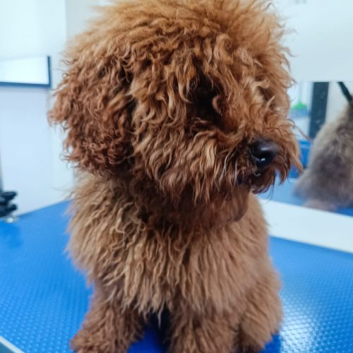 WhatsApp Image 2026-01-28 at 11.47.06 (1)