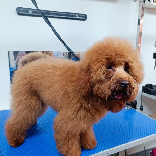 WhatsApp Image 2026-01-28 at 11.47.06