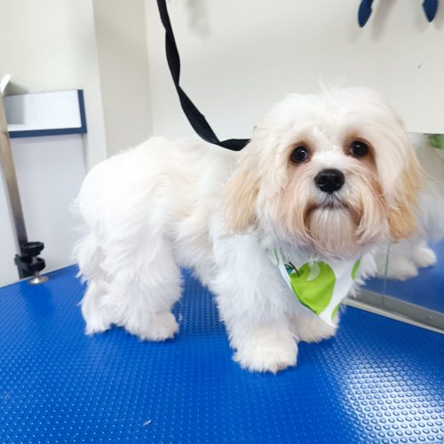 WhatsApp Image 2026-01-28 at 11.47.36