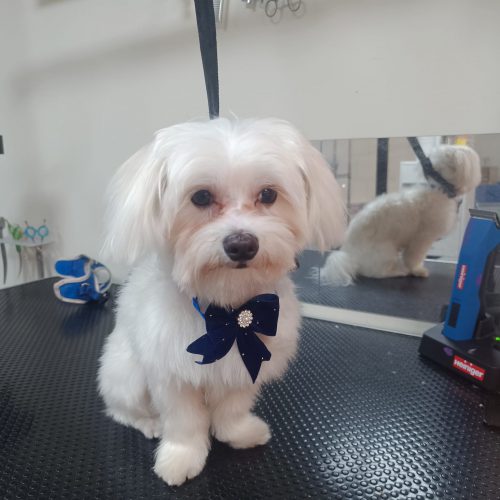 תמונה של WhatsApp‏ 2025-12-01 בשעה 15.39.33_93c73329