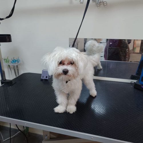 תמונה של WhatsApp‏ 2025-12-01 בשעה 15.39.33_fd4d6b7e