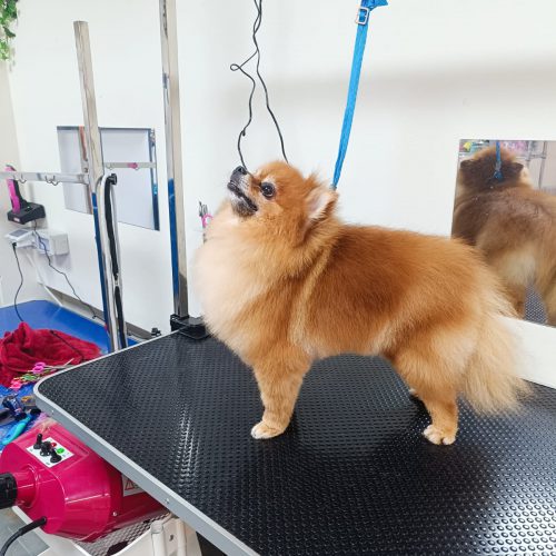 תמונה של WhatsApp‏ 2025-12-01 בשעה 15.41.03_0c7cd731