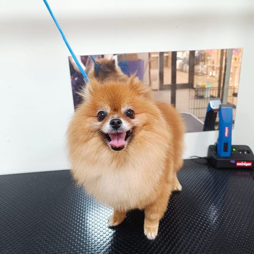 תמונה של WhatsApp‏ 2025-12-01 בשעה 15.41.03_3c9e1b22