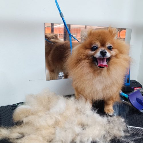 תמונה של WhatsApp‏ 2025-12-01 בשעה 15.41.03_e21a479c