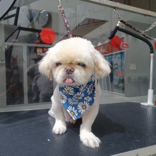 תמונה של WhatsApp‏ 2025-12-09 בשעה 07.14.02_6a259ba5