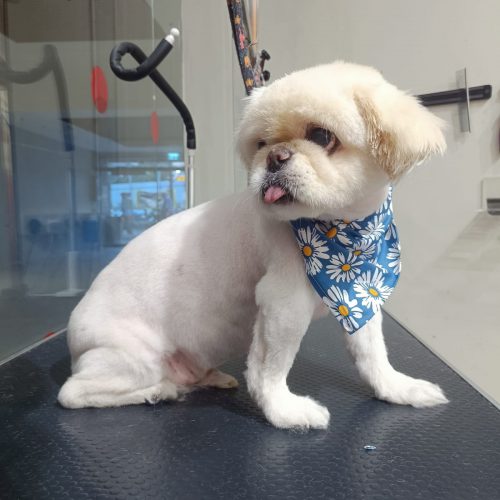 תמונה של WhatsApp‏ 2025-12-09 בשעה 07.14.02_aa036bac