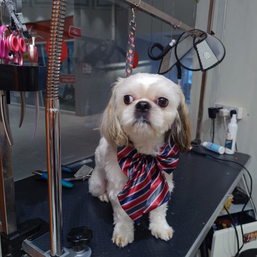 תמונה של WhatsApp‏ 2025-12-09 בשעה 07.16.15_35675f91